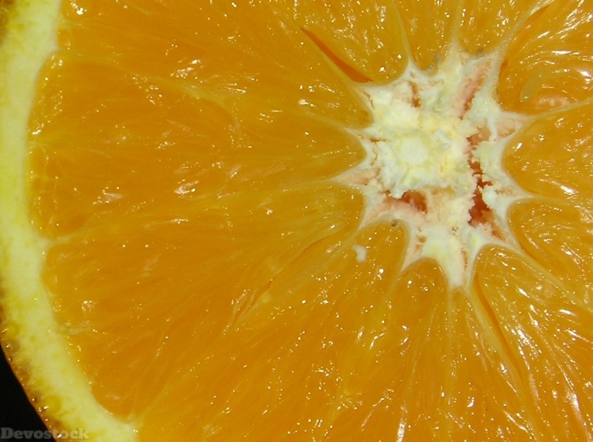 Devostock Orange fruit  (440)