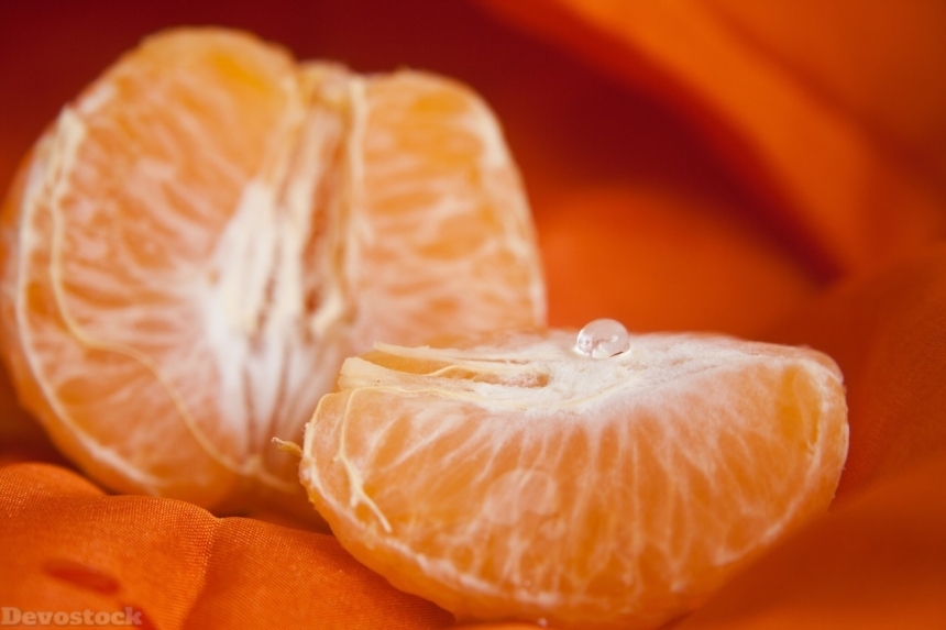 Devostock Orange fruit  (452)
