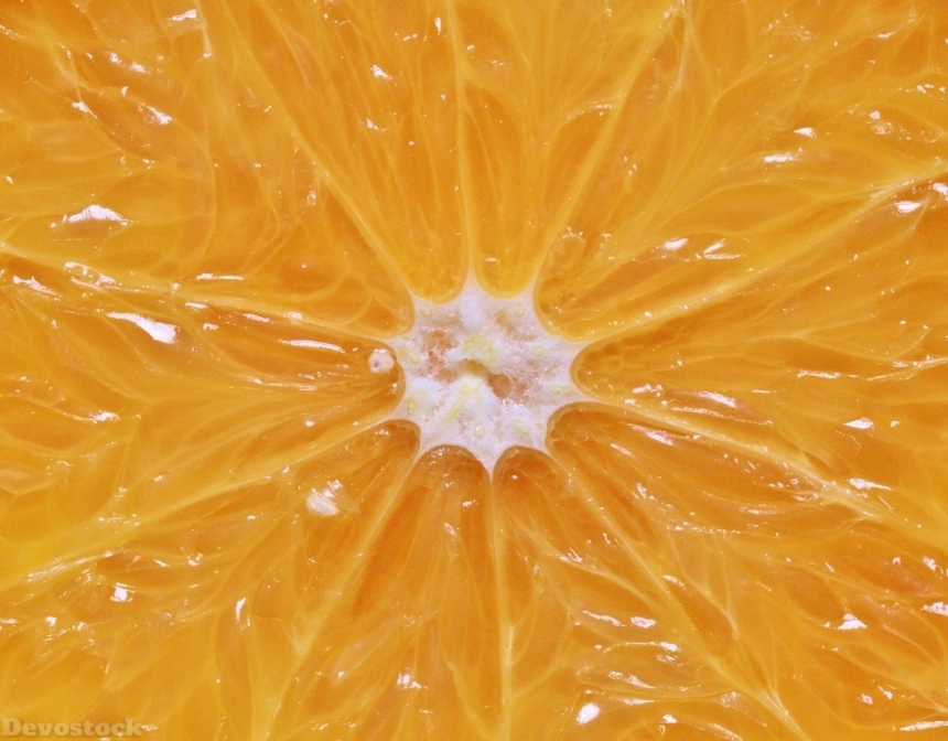Devostock Orange fruit  (459)