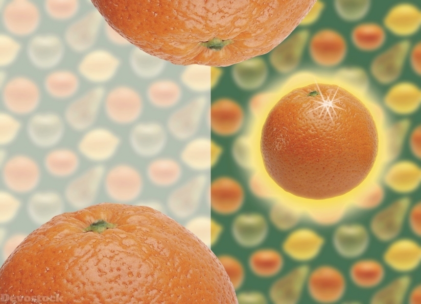 Devostock Orange fruit  (464)
