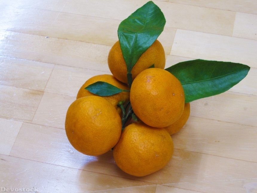 Devostock Orange fruit  (469)