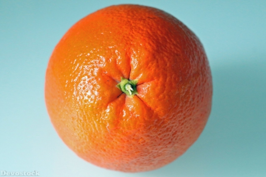 Devostock Orange fruit  (474)