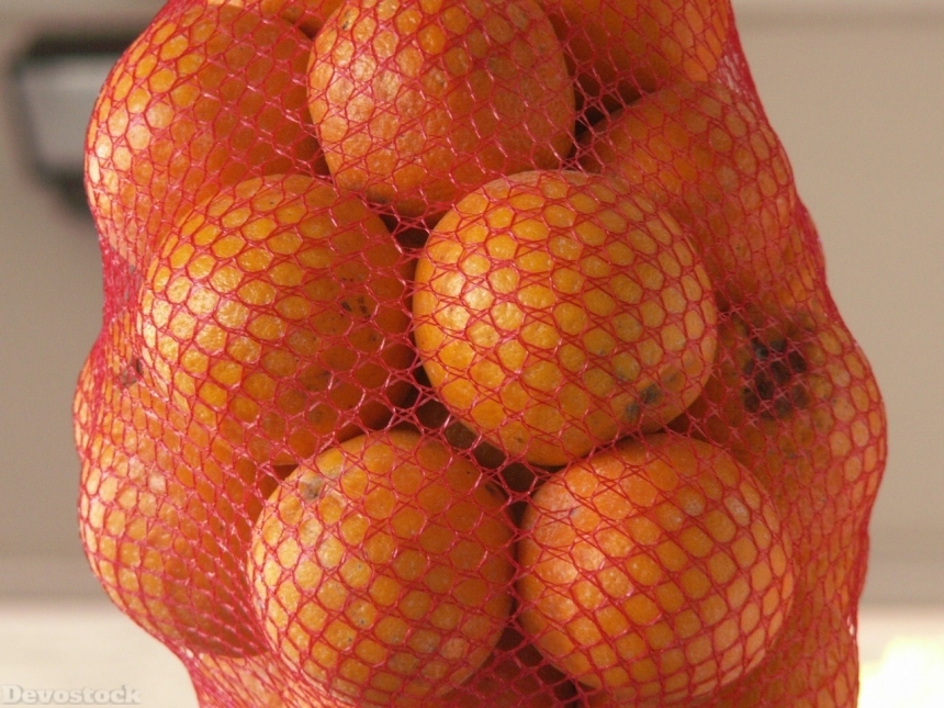 Devostock Orange fruit  (478)