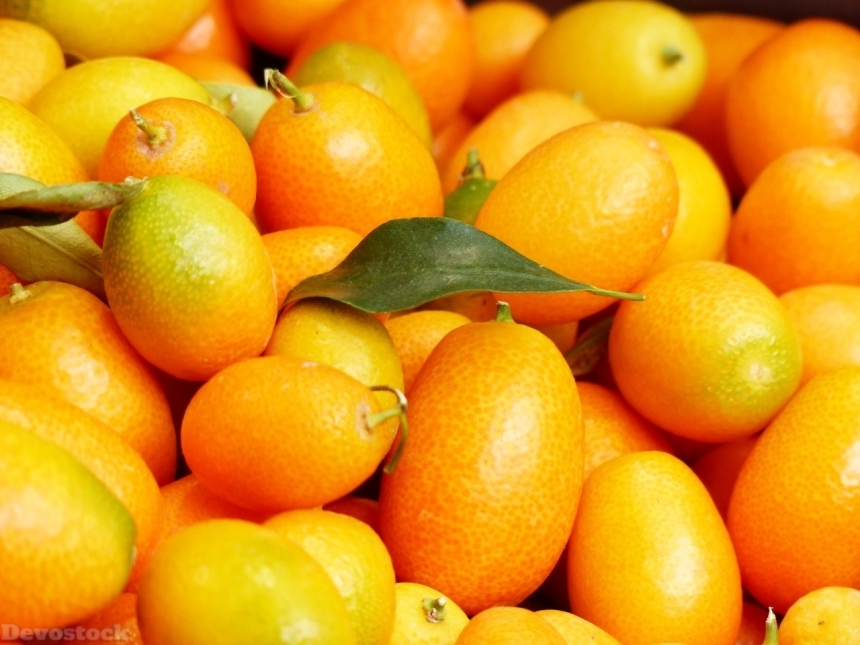 Devostock Orange fruit  (487)