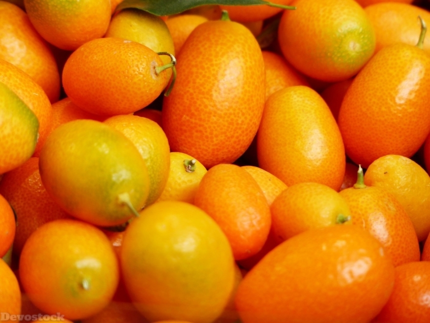 Devostock Orange fruit  (488)
