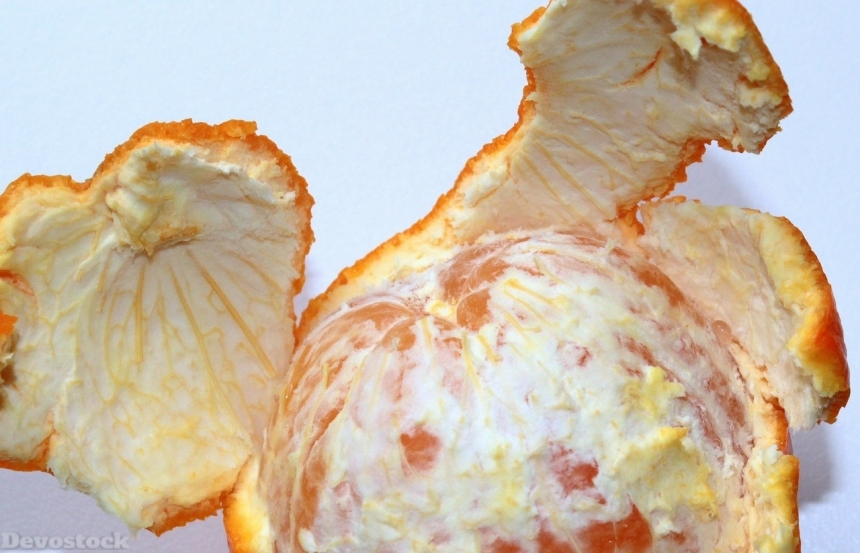 Devostock Orange fruit  (51)