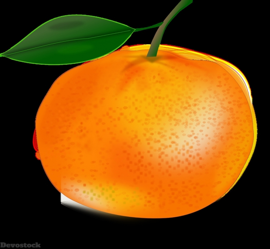 Devostock Orange fruit  (66)