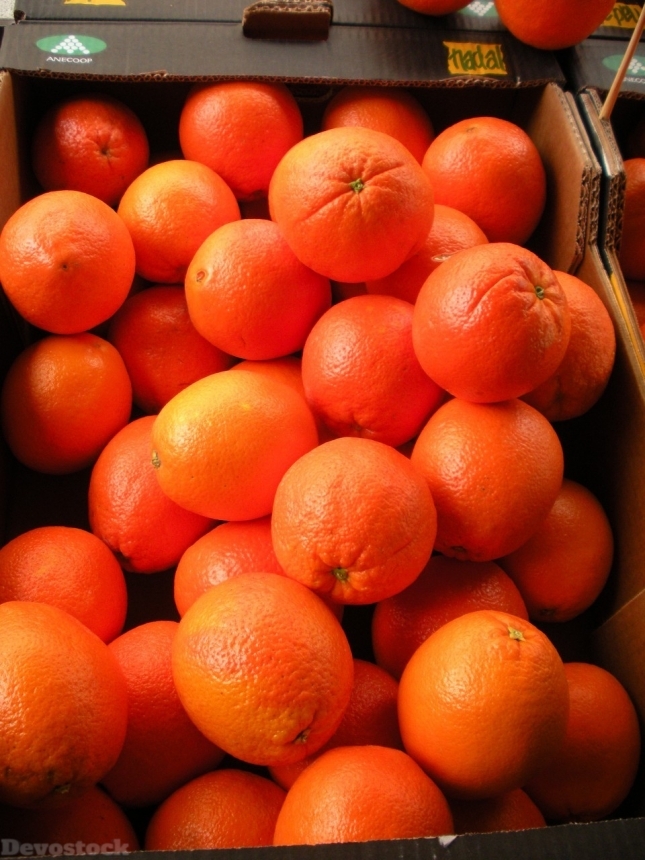Devostock Orange fruit  (82)