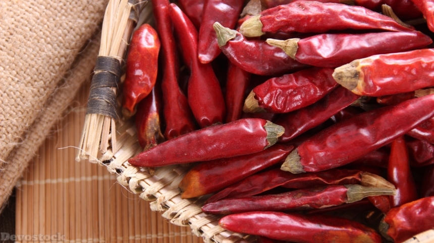 Devostock Red dried chili  (9)