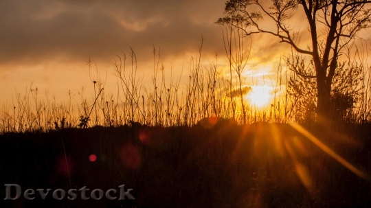 Devostock Sunrise and sunset scenery photo stock (2)
