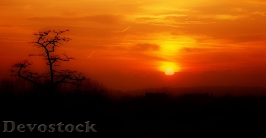 Devostock Sunset  (155)