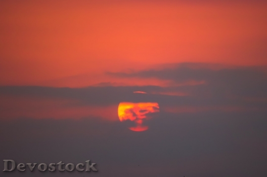 Devostock Sunset  (246)