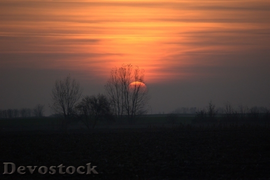 Devostock Sunset  (63)
