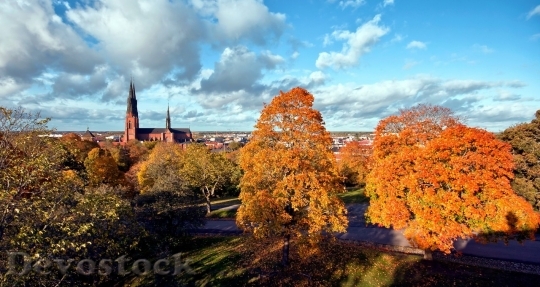 Devostock Sweden city view  (179)