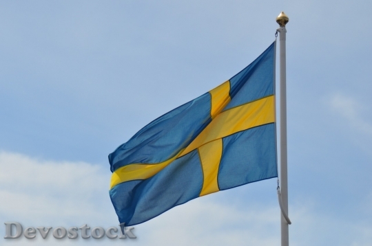 Devostock Sweden flag  (13)