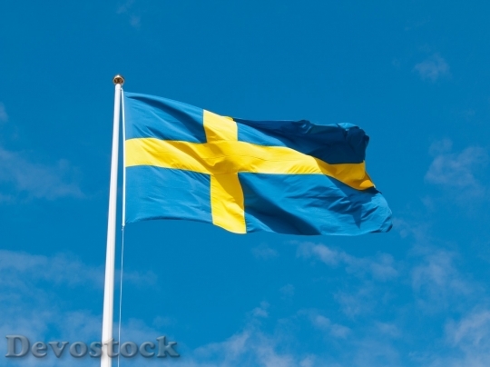 Devostock Sweden flag  (16)