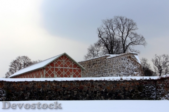 Devostock Winter cold snow  (171)