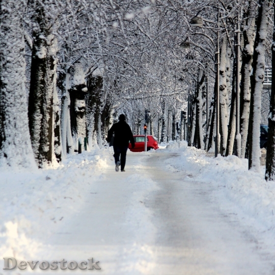 Devostock Winter cold snow  (18)