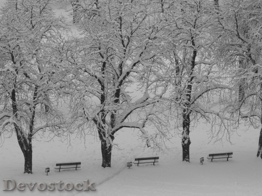 Devostock Winter cold snow  (181)