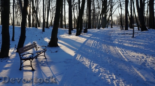 Devostock Winter cold snow  (87)