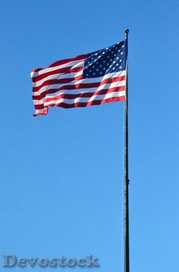 Devostock America Flag New York