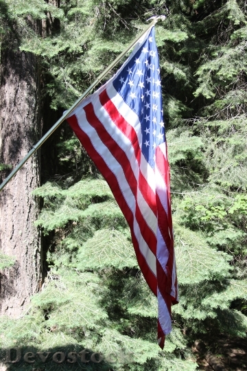 Devostock American Flag 4th July