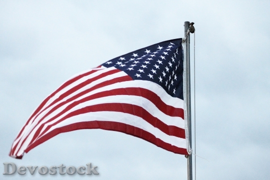 Devostock American Flag Patriotism Wave