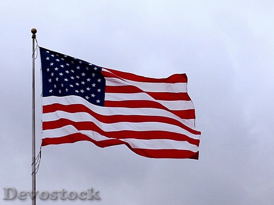 Devostock American Flag Usa Flag 1