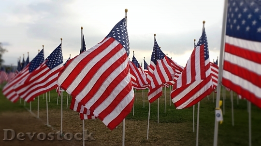 Devostock American Flag Usa Flag 7