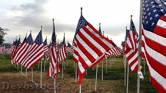 Devostock American Flag Usa Flag 8
