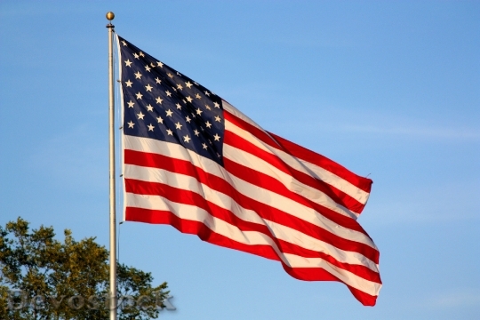 Devostock American Flag Waving Flag
