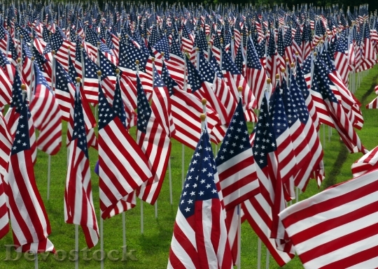 Devostock American Flags Cemetery Graves