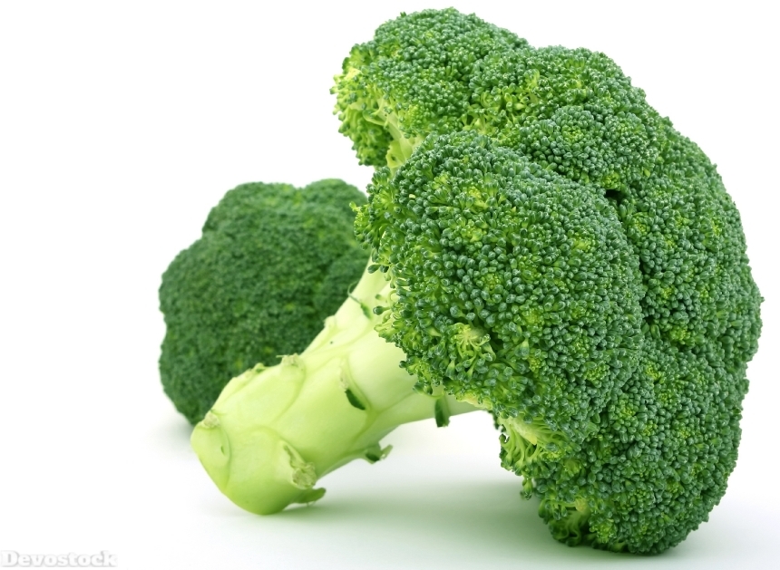 Devostock Appetite Broccoli Brocoli Broccolli 2