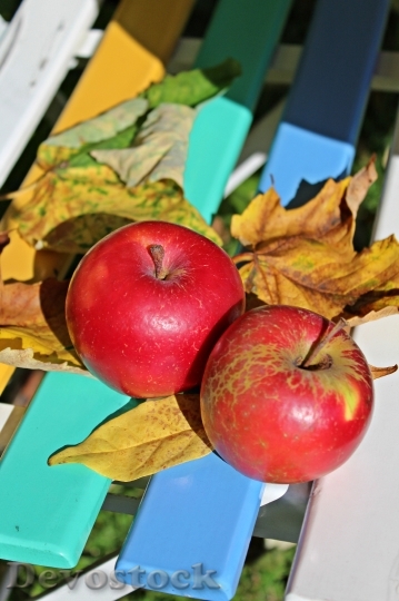 Devostock Apple Autumn Fruit Nature