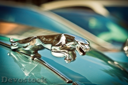 Devostock Auto Jaguar Xk Automotive 0