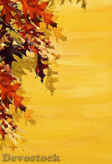 Devostock Autumn Background Leaves Emerge