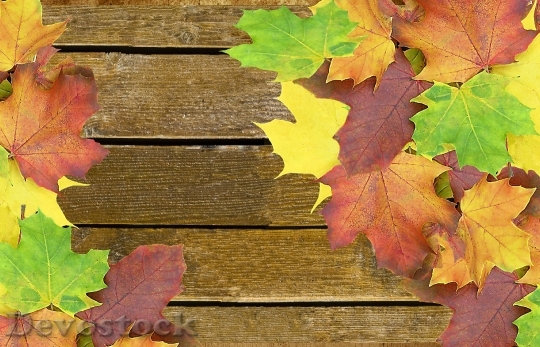 Devostock Autumn Background Wood Colorful
