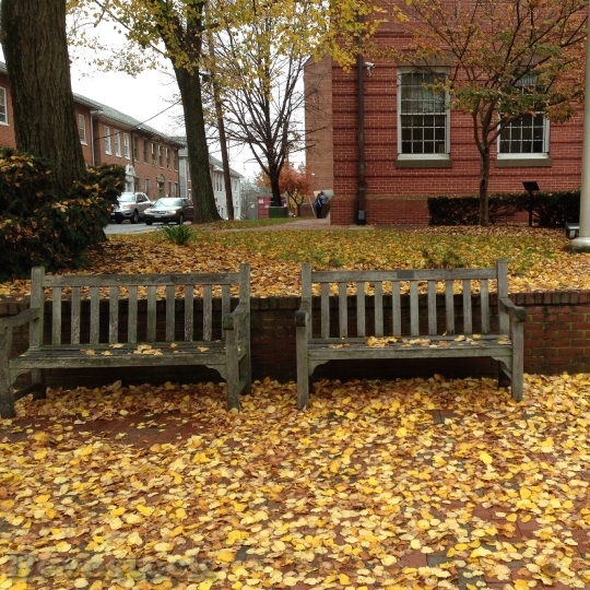 Devostock Autumn Bench Fall Leaves