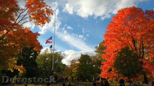 Devostock Autumn Central Park Usa