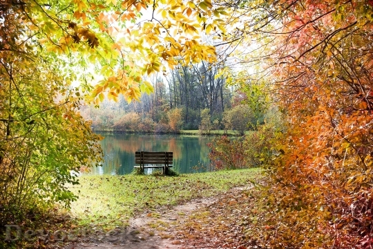 Devostock Autumn Fall Season 986350