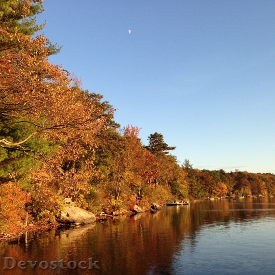 Devostock Autumn Lake Landscape Scenic