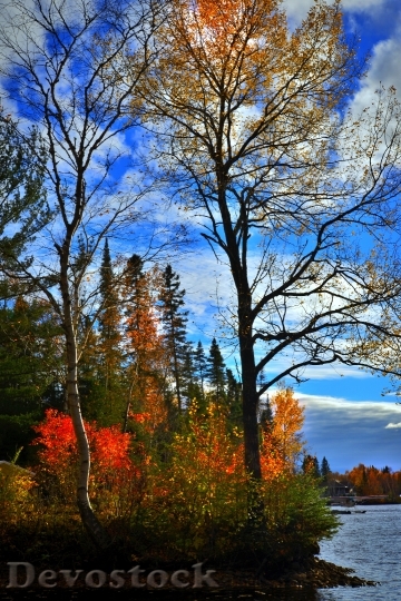 Devostock Autumn Landscape Fall Colors