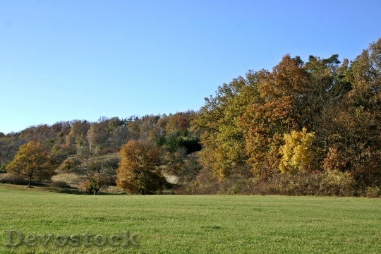 Devostock Autumn Landscape Landscape 529836