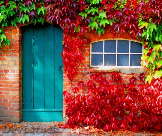 Devostock Autumn Leaves Colorful Door