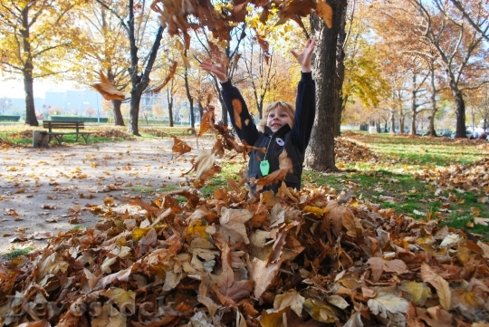 Devostock Autumn Leaves Playing Boy