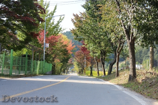 Devostock Autumn Street Country Landscape