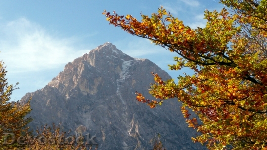 Devostock Autumn Tree Leaves Mountain