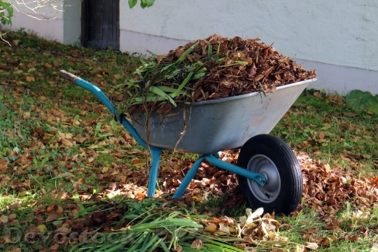 Devostock Autumn Wheelbarrows Garden Work