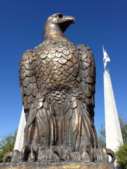 Devostock Bald Eagle Eagle Bronze