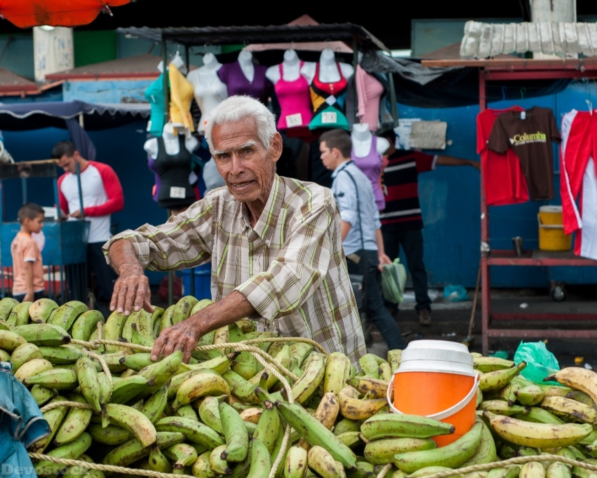Devostock Bananas Vendor Open Market